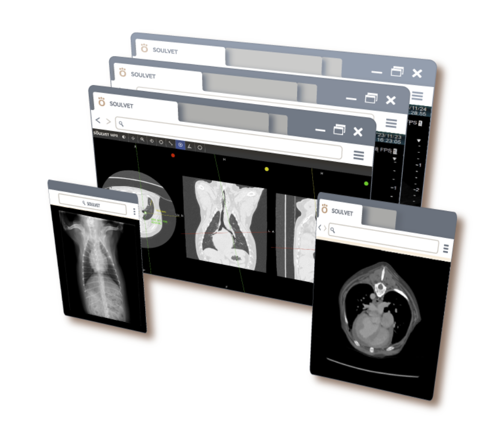 SOULVETのイメージ画像